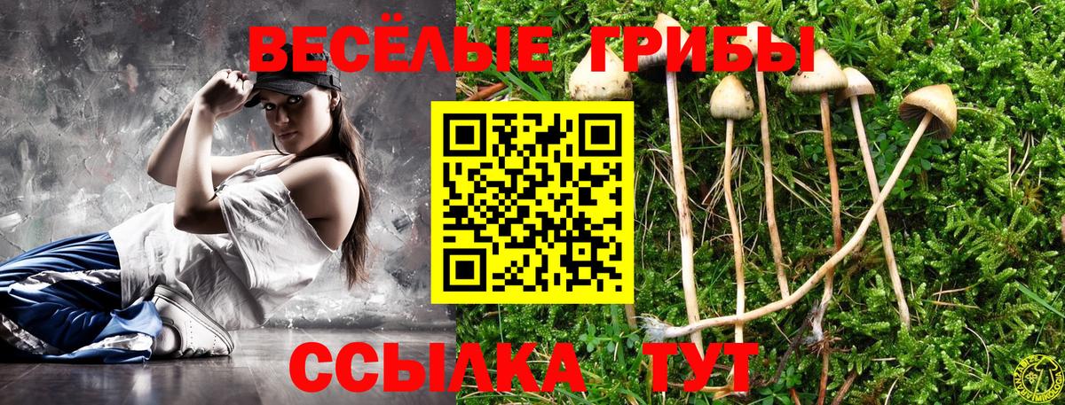Городец  закладка  Вход с VPN  Псилоцибиновые грибы Magic Shrooms 